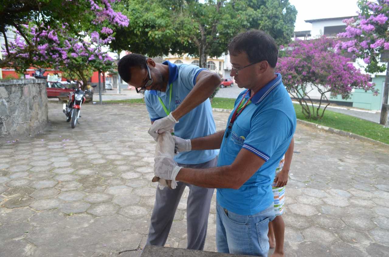 Vacinação